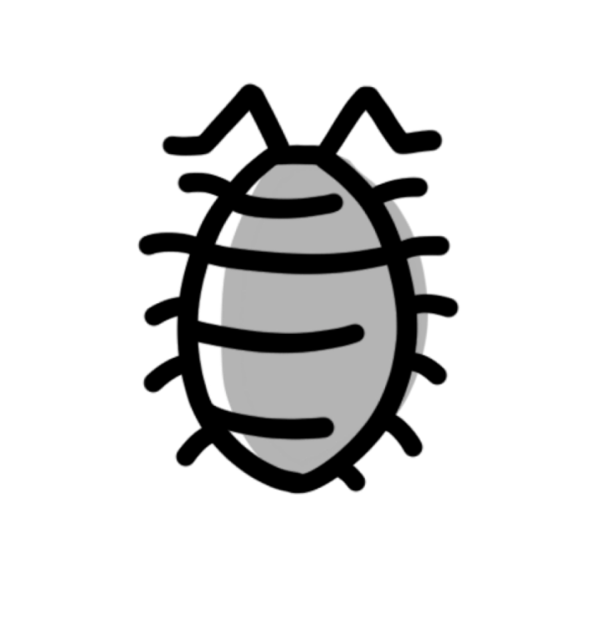 Expeditie bodem- en kriebeldiertjes (jeugd)